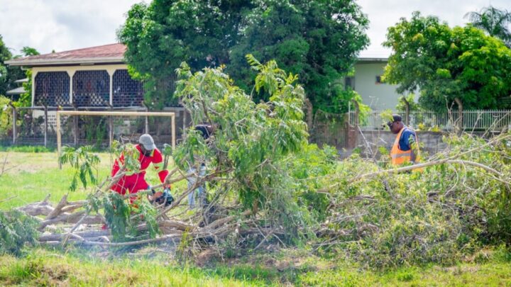 Medewerkers ruimen gesnoeide takken op bij het SOSIS-sportcomplex